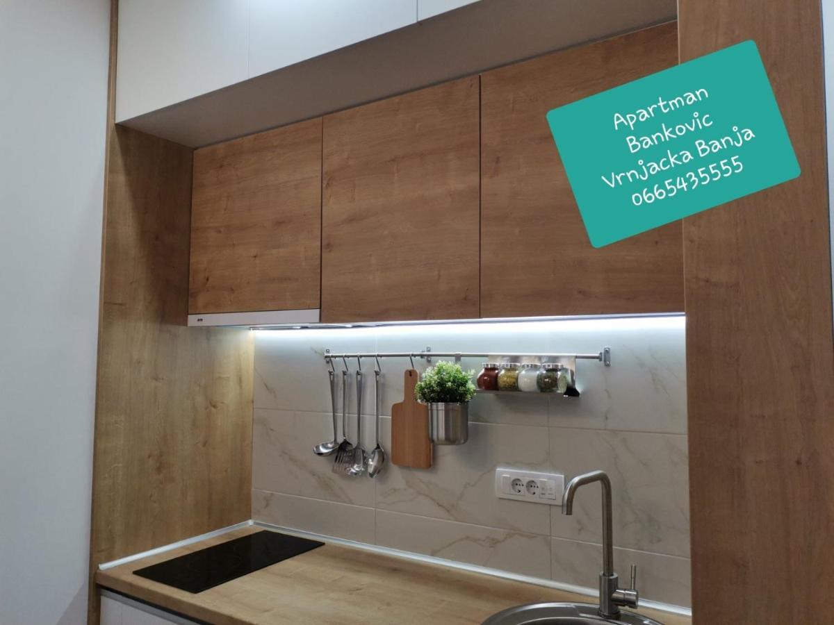 Bankovic Apartman Vrnjačka Banja Eksteriør billede